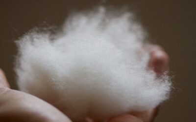 Virgin Cashmere: Fiber Origin and Selection of the Best Italian Spinning Mills